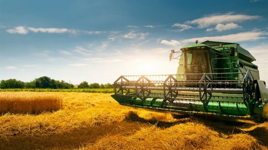 Trigo enfrenta desafios climáticos no Hemisfério Norte
