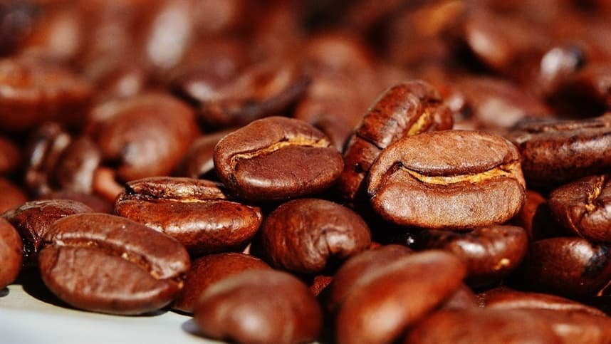 Café sustentável: Brasil aposta em soluções biológicas para produtividade