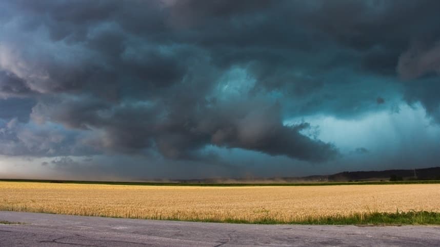 El Niño complica agricultura na Fronteira Oeste do RS
