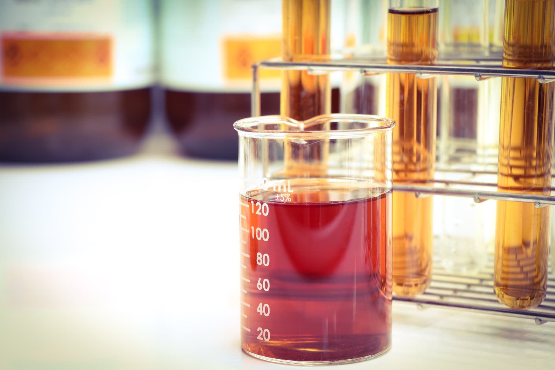 CNPE Restringe Importação de Biodiesel e Fortalece Produção Nacional