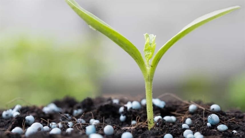 Vale a pena para o agricultor investir em fertilizantes?