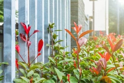 Equipamentos certos facilitam jardinagem e economizam recursos
