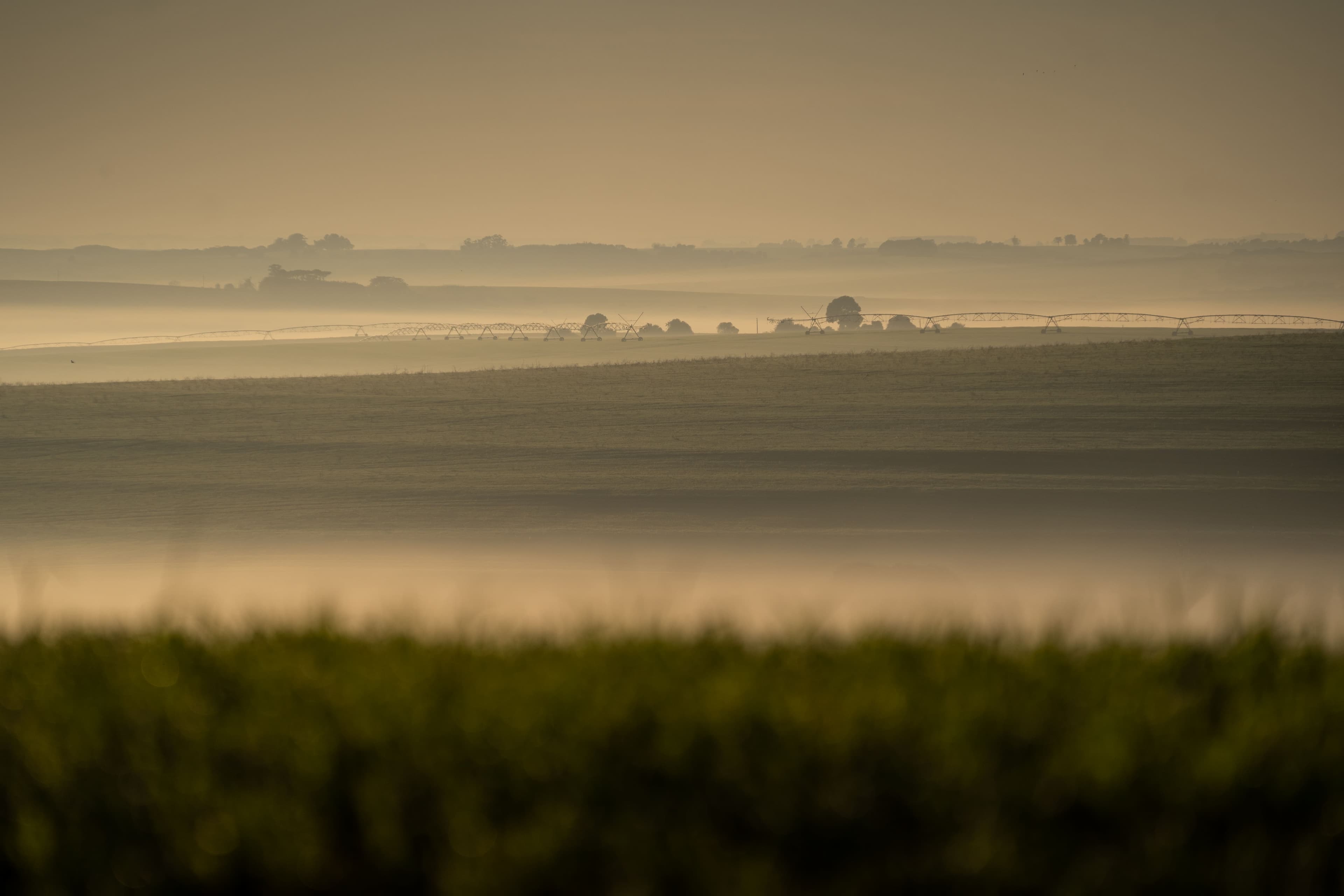 Frente fria traz queda de temperaturas e geadas no Sul do Brasil