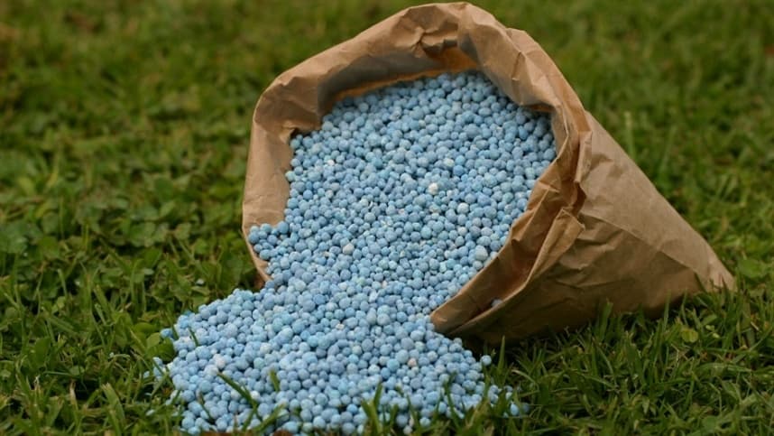 Mercado global de fertilizantes apresenta dinâmica desigual por nutriente