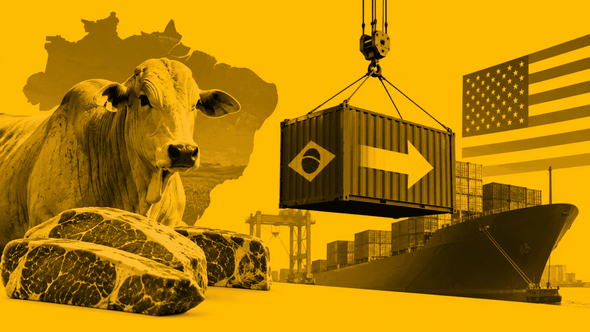Exportações de carne bovina do Brasil para os EUA crescem 41,8% em setembro