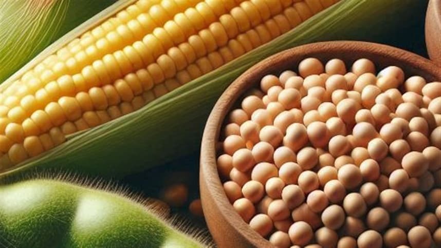 Volatilidade no mercado de grãos afeta soja e milho em 2026
