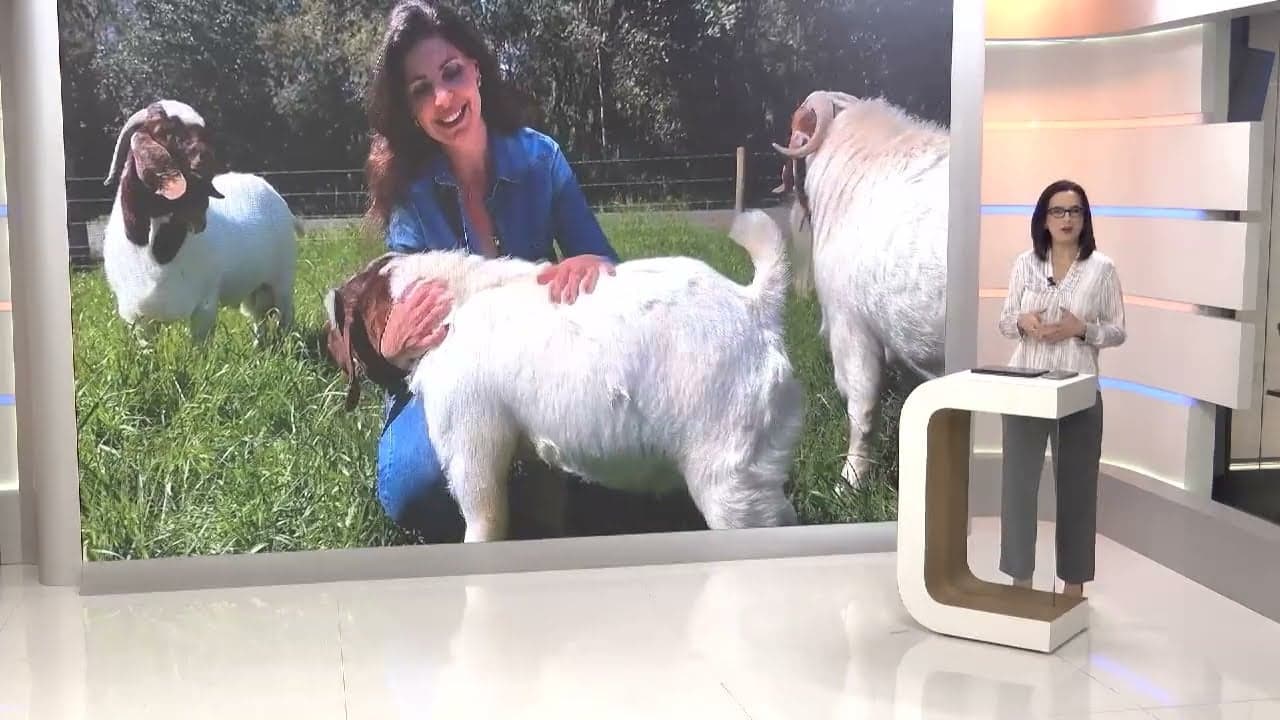 Dia Internacional da Mulher Rural destaca papel das mulheres no agronegócio