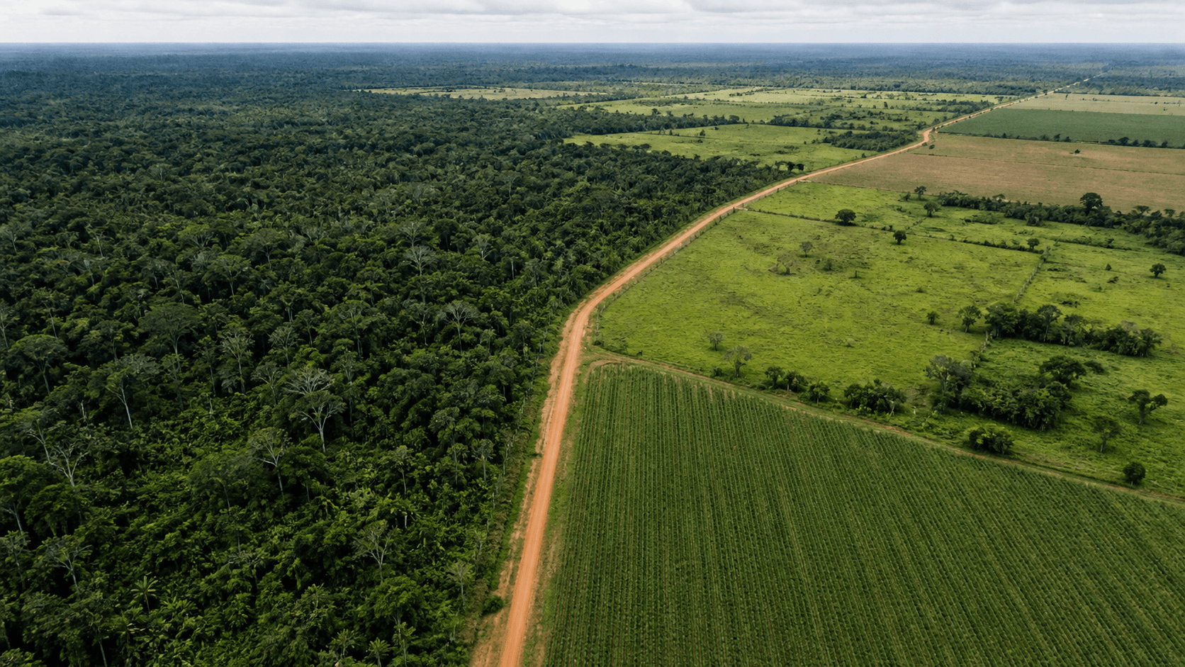 Agropecuária ocupa 65,2 milhões de hectares na Amazônia em 2025