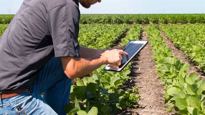CNPJ para produtores rurais: prazos estendidos até 2027