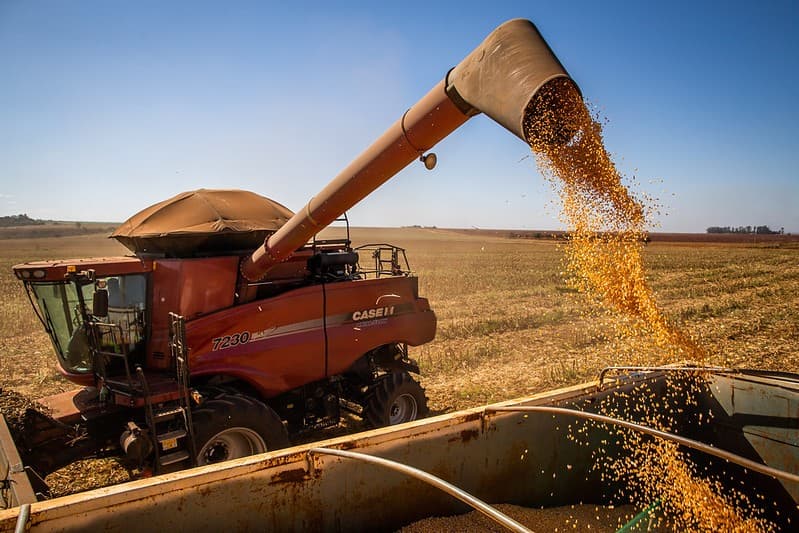 Colheita de milho no Brasil alcança 26,5% em 2026