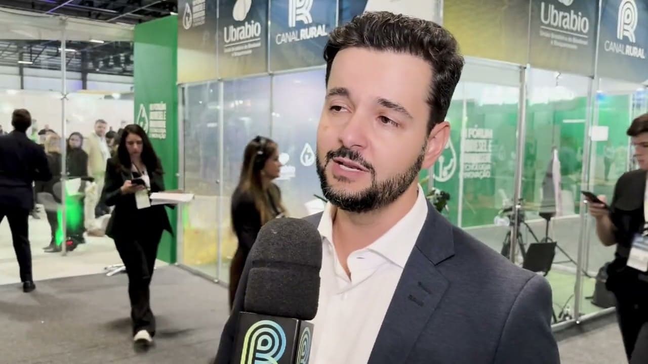 Avicultura brasileira aposta em alternativas na nutrição animal
