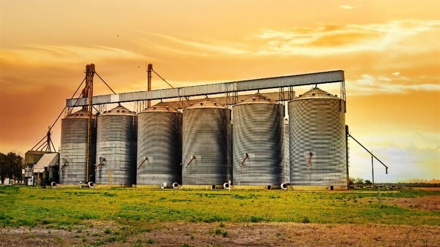 Alerte para o armazenamento de trigo no calor: riscos e prevenção