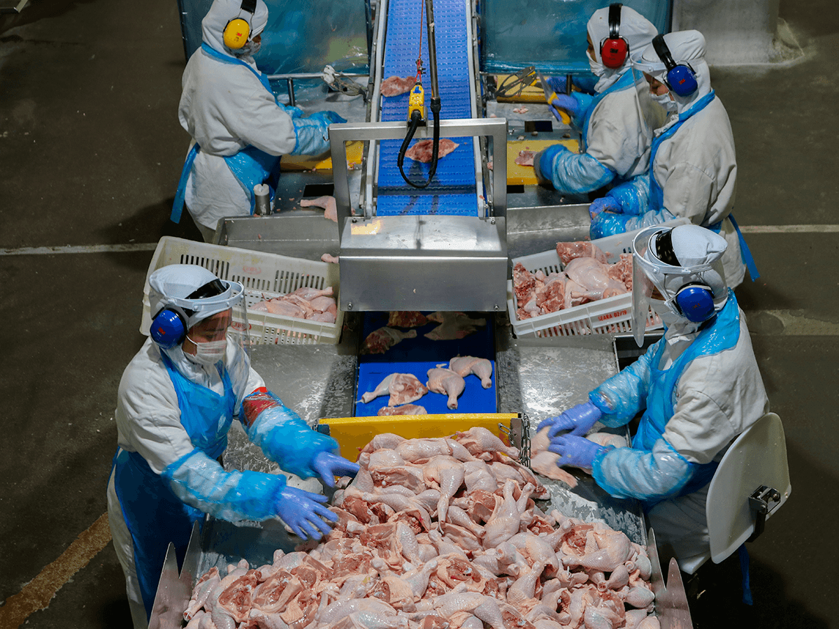 ABPA refuta contaminação de frango brasileira exportada à Grécia