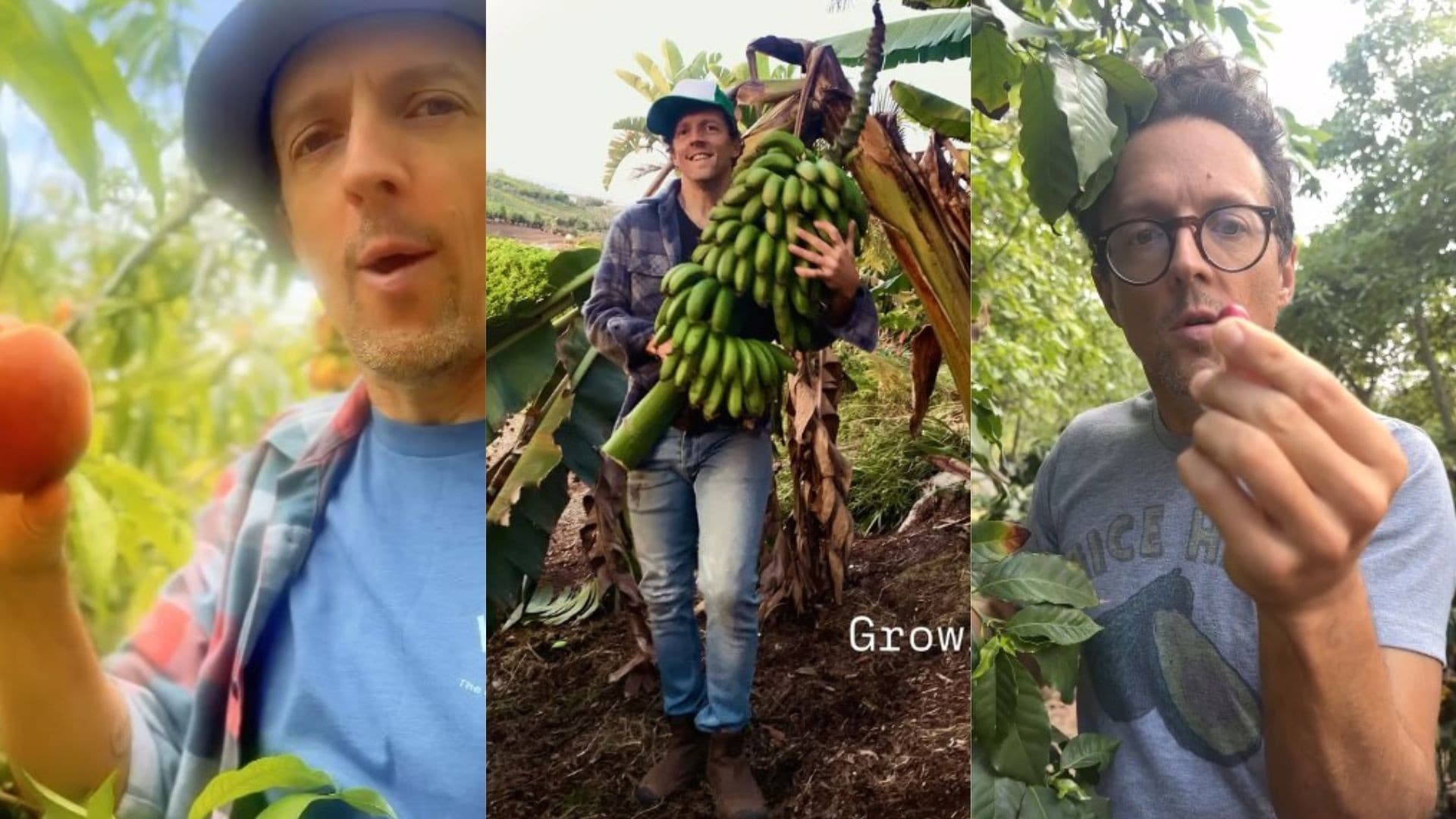 Jason Mraz investe na agricultura sustentável em sua fazenda na Califórnia