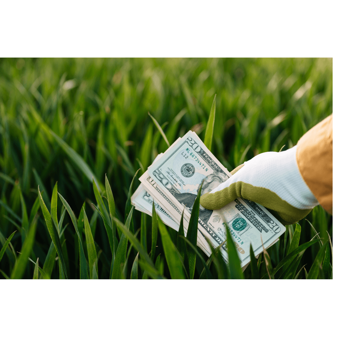 Fundo garantidor de investimentos no agro é discutido no Senado