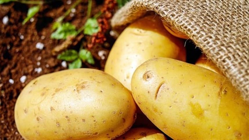 Preços da batata caem no mercado atacadista de São Paulo