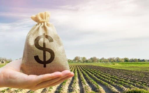 Atraso no Plano Safra gera insegurança entre produtores rurais