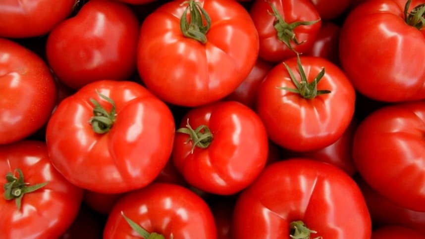 Inverno potencializa riscos para cultivo de batata e tomate em 2026