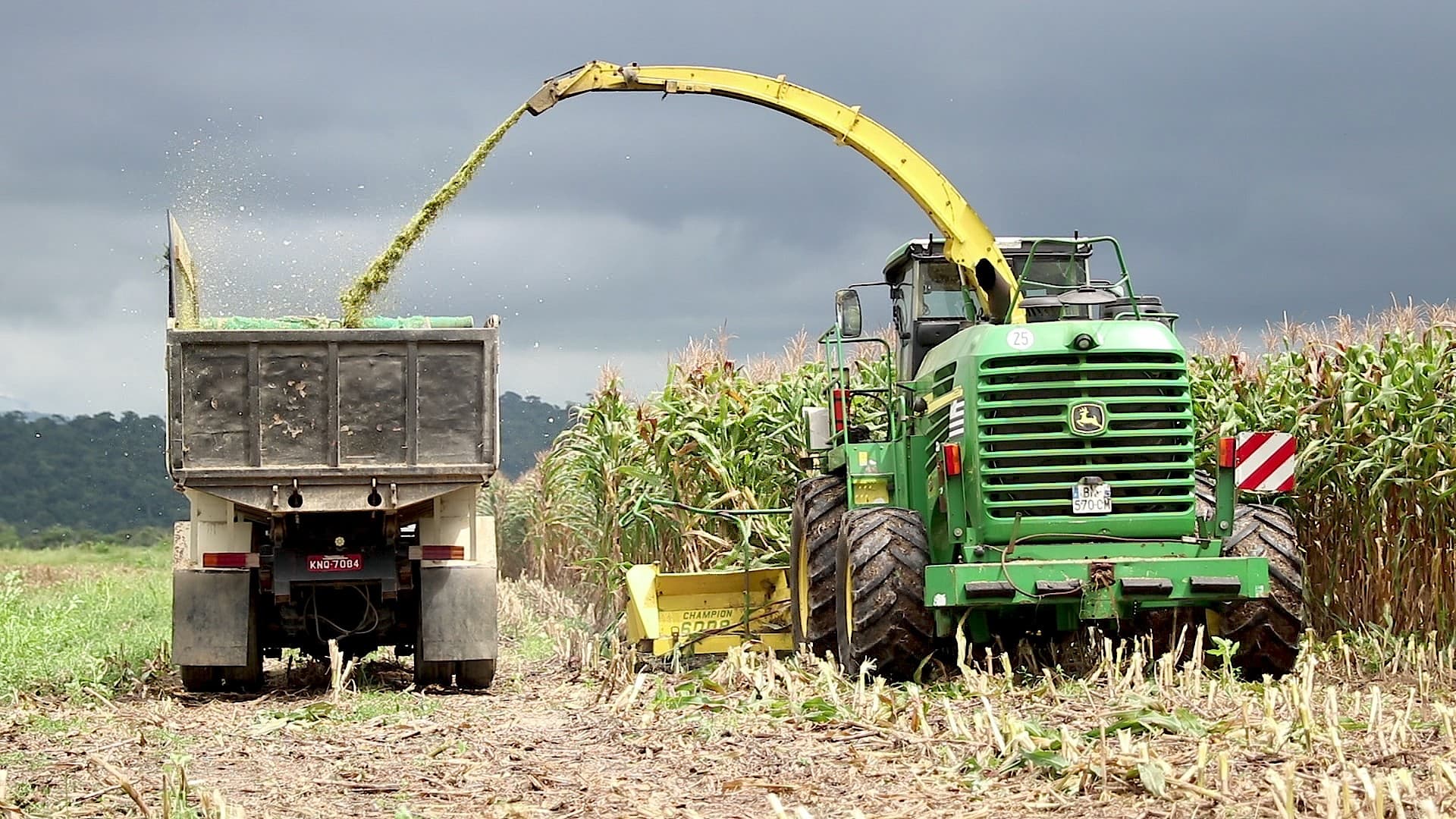 Fertilizantes: Indústria pede R$ 2 bilhões em subsídios ao governo