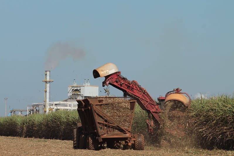 Conab aponta queda na produção de açúcar e alta no etanol