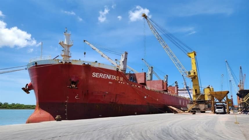 Agronegócio brasileiro se destaca nas exportações para a China