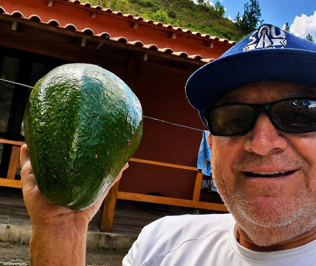 Abacate gigante de Domingos Martins surpreende produtores locais