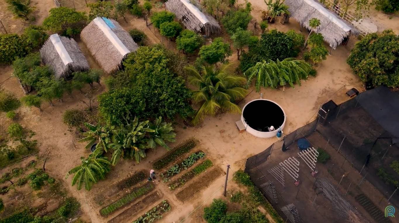 Sisteminha ajuda famílias quilombolas no Maranhão a vencer a insegurança alimentar