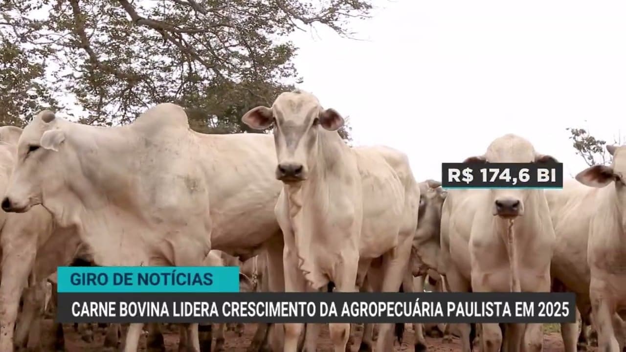 Financiamentos do Plano Safra caem 10%, mesmo com recorde em soja
