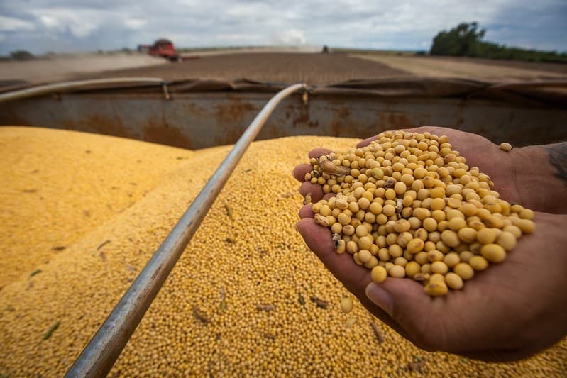 USDA projeta crescimento na produção global de soja em 2026/27