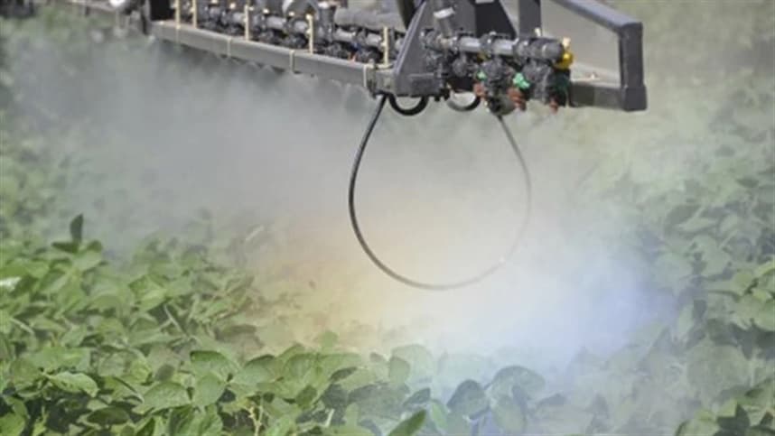 Uso de herbicida 2,4-D é restringido no Rio Grande do Sul