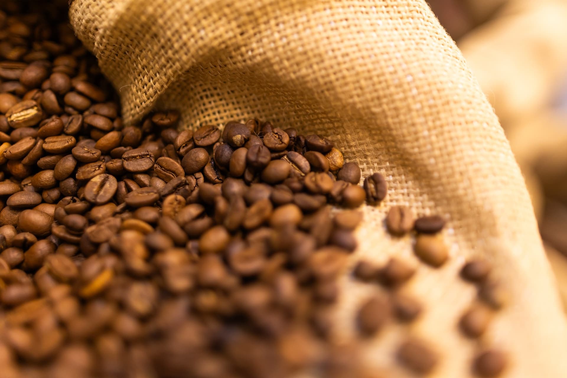 Exportações de café se recuperam com aumento da produção brasileira