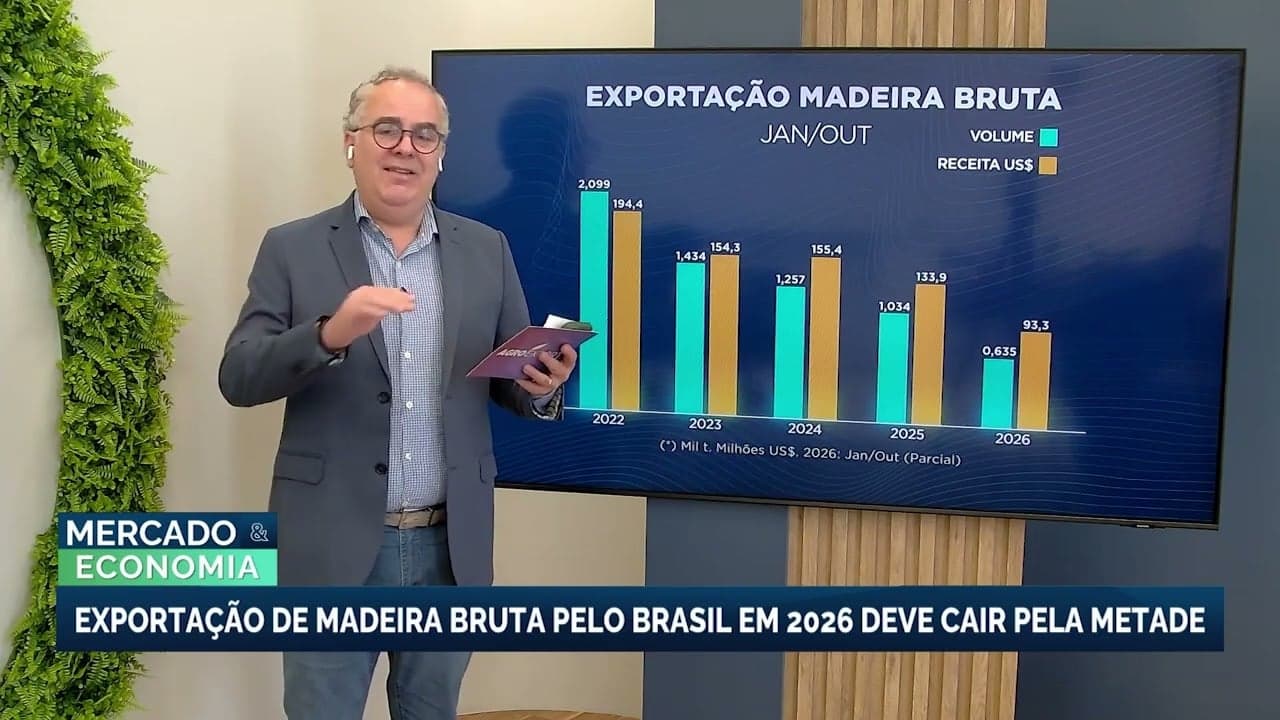 Exportação de madeira bruta do Brasil deve cair 50% até 2026