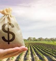 Crédito Rural Enfrenta Queda de 30% no Início do Plano Safra