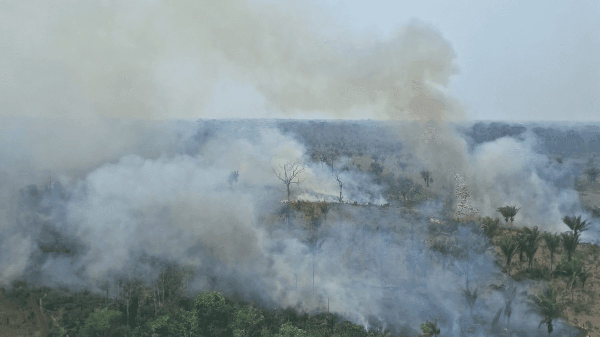 Polícia Federal investiga incêndios criminosos no Amazonas