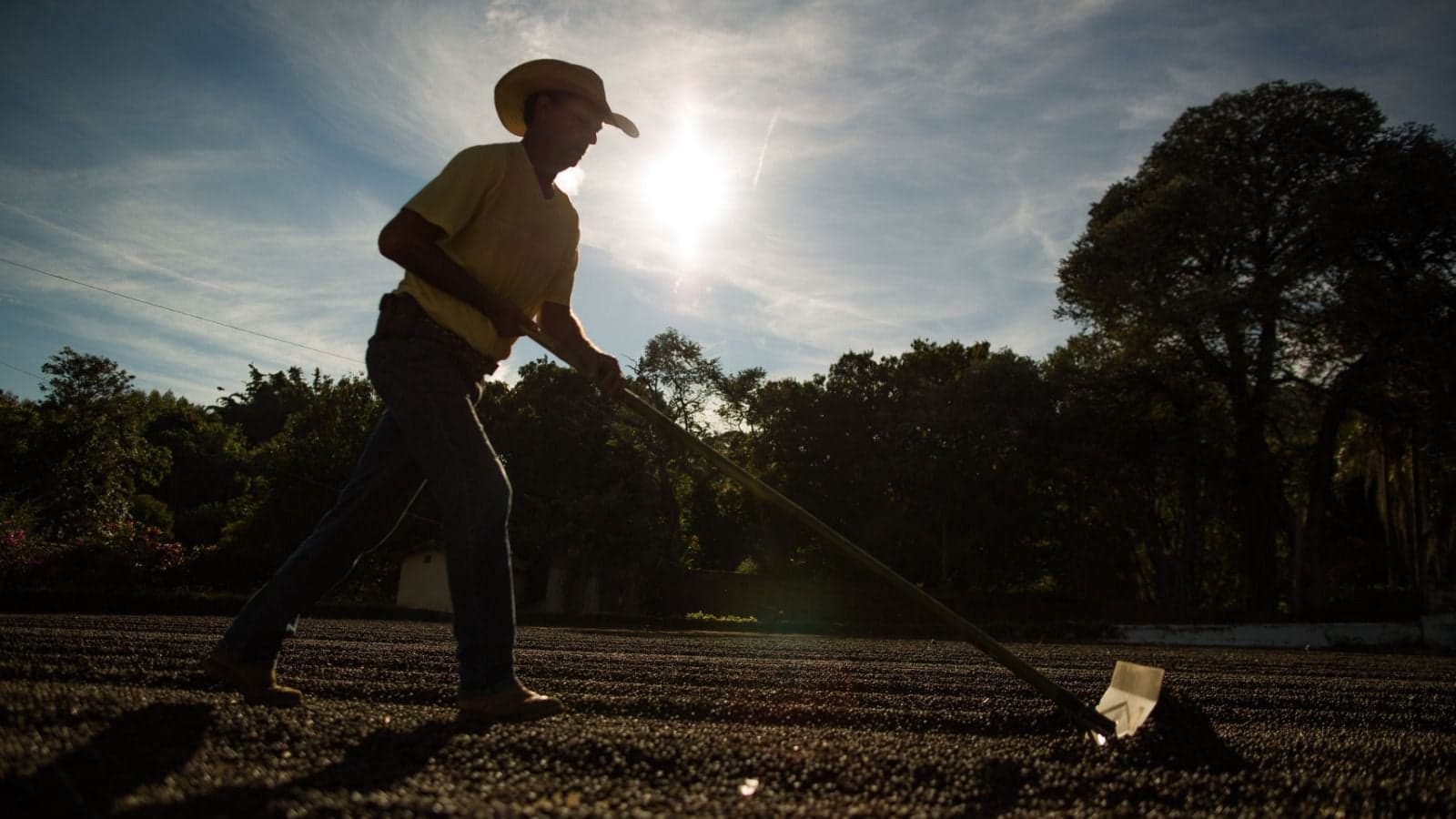 Agronegócio brasileiro registra recorde de empregos em 2025