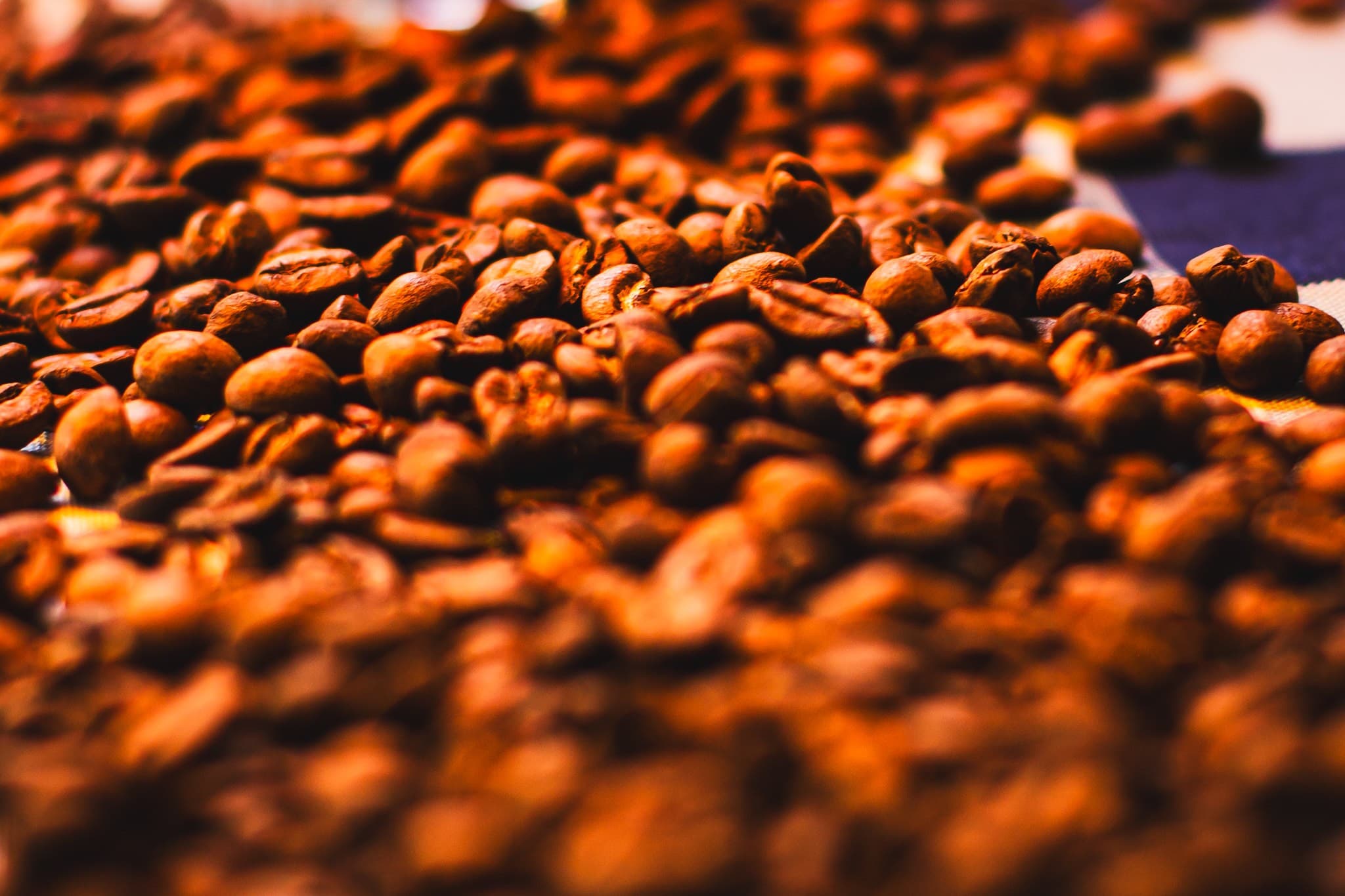 Alta nos contratos de café e cacau na bolsa de Nova York