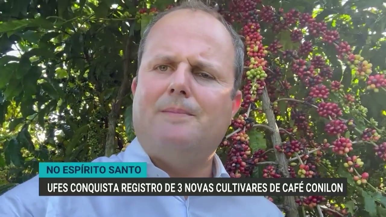 UFS registra novas cultivares de café Conilon adaptadas ao frio