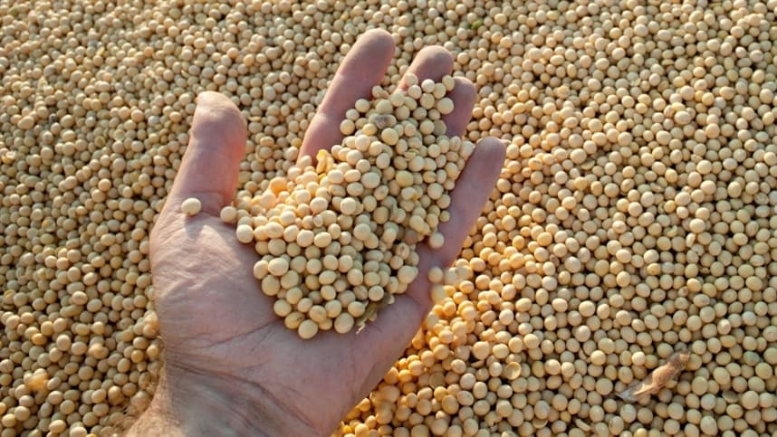 USDA ajusta produção e estoques de soja no mundo