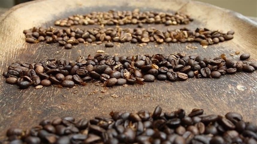 Aumento da reserva de café na União Europeia