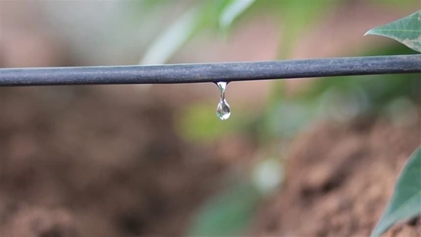 Netafim destaca irrigação como chave para agricultura brasileira