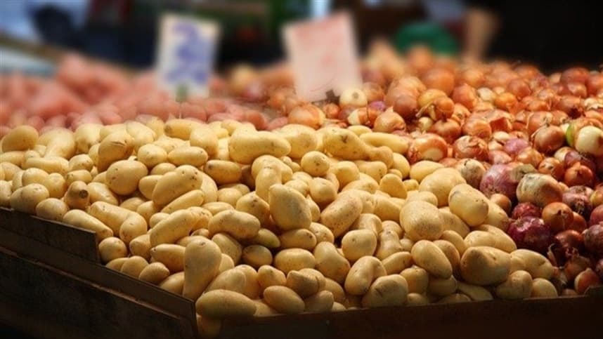Colheita da batata no Rio Grande do Sul é impactada por geadas