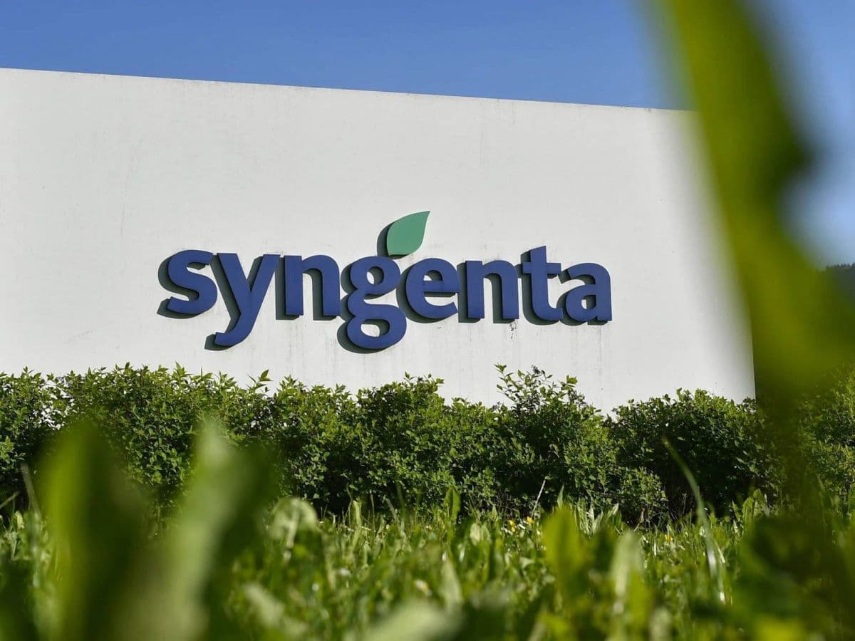 Syngenta atinge US$ 6,4 bi em vendas no primeiro trimestre de 2026