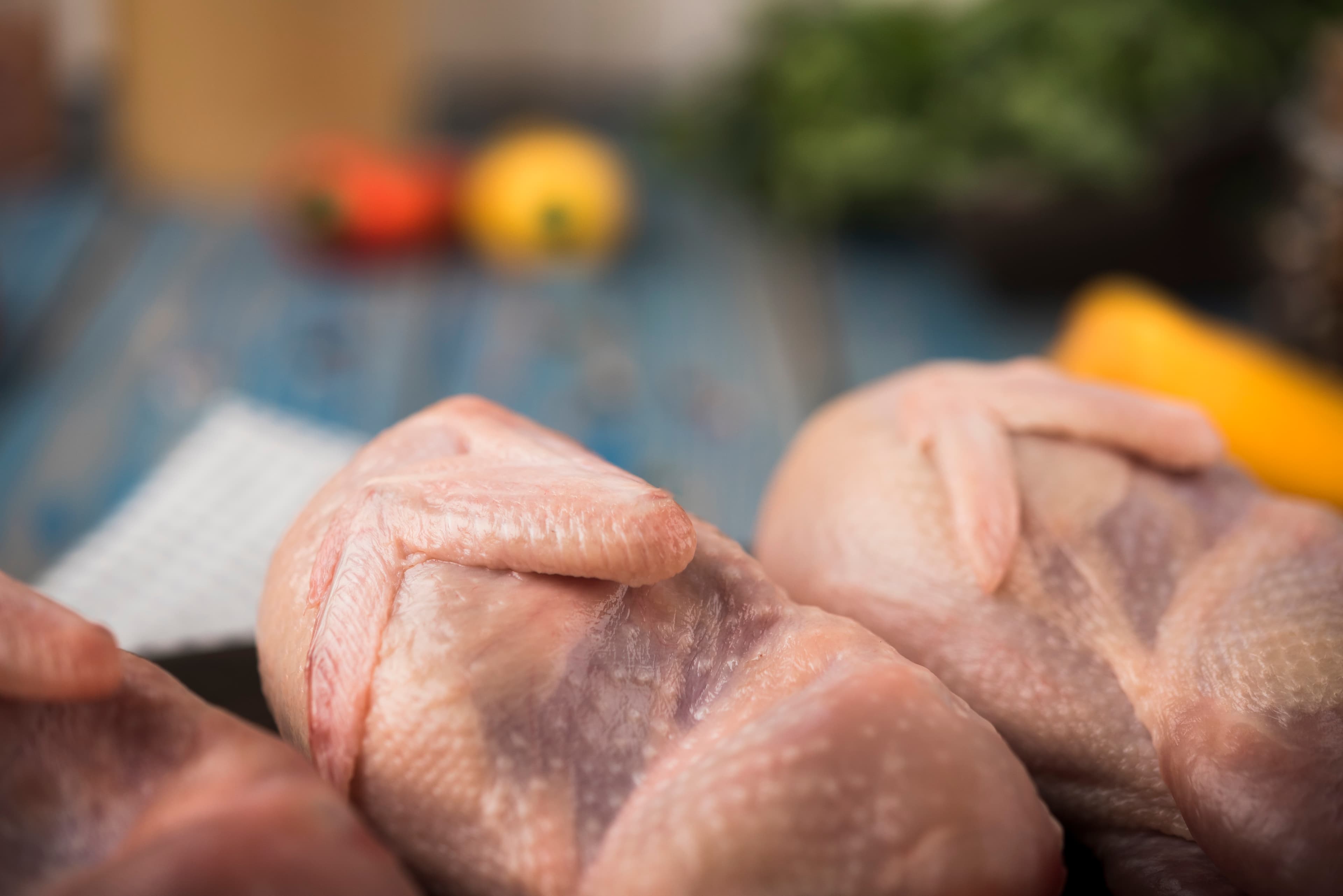 UE prevê retomada das exportações brasileiras de carne de frango e mel até 2026