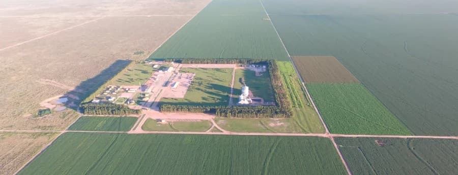 SLC Agrícola registra lucro de R$ 245 milhões e aposta no algodão