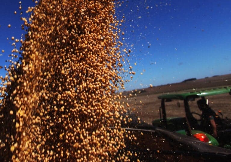 Cadeia da soja e biodiesel cresce 11,72% em 2025, aponta Cepea