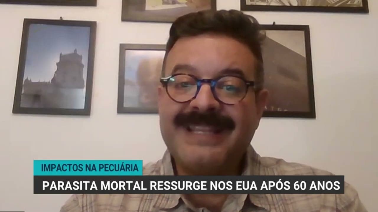 EUA registra mosca-da-bicheira após 60 anos, impactando pecuária