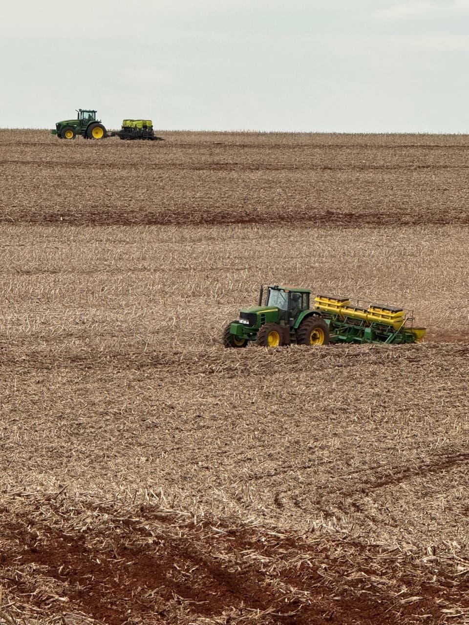 Produtores do Paraná iniciam plantio de soja antes do previsto