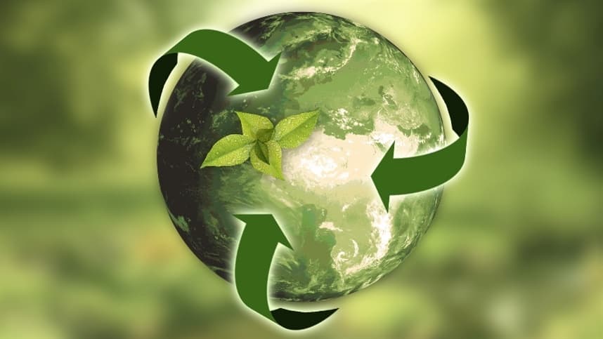 Custo Brasil Verde pode impactar produção rural e sustentabilidade