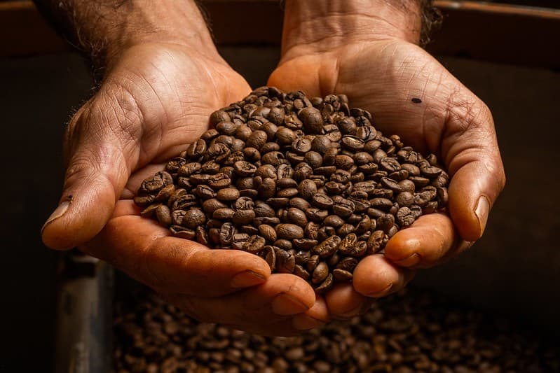 Cotações de café e commodities agrícolas apresentam variações na bolsa de Nova York