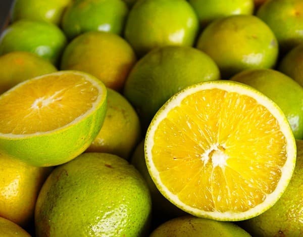 Preço da laranja pera em alta em São Paulo